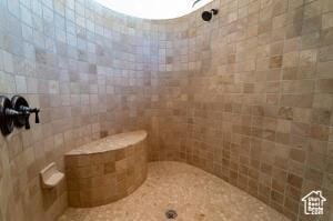 2466 W Cohonina Trl, St George, UT 84770 - full bath with a tile shower