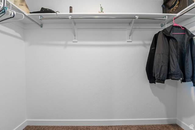 14907 S Messi St, Herriman, UT 84096 - spacious closet featuring carpet flooring