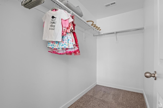14907 S Messi St, Herriman, UT 84096 - walk in closet with carpet
