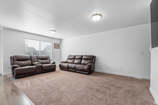 14907 S Messi St, Herriman, UT 84096 - living area featuring a textured ceiling and wood finished floors