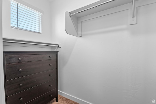 14907 S Messi St, Herriman, UT 84096 - spacious closet with carpet