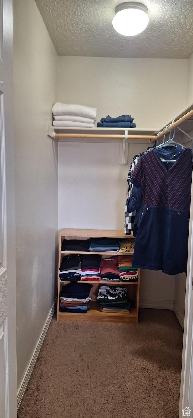 253 N 4300 W, Cedar City, UT 84720 - spacious closet with carpet