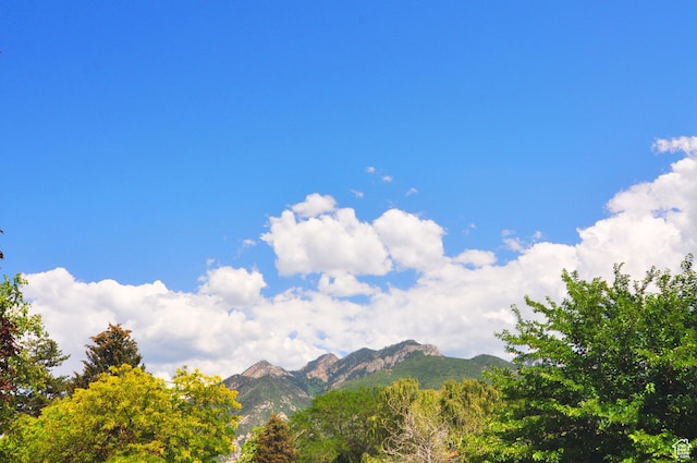 2845 Banbury Rd E, Cottonwood Heights, UT 84121 - view of mountain backdrop