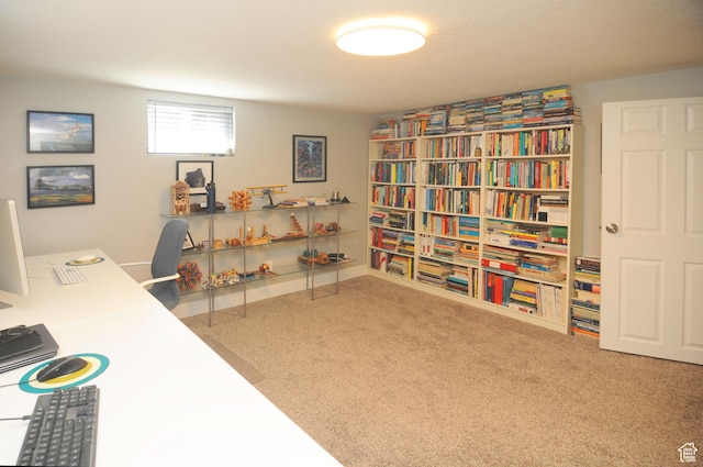 2845 Banbury Rd E, Cottonwood Heights, UT 84121 - view of carpeted office space