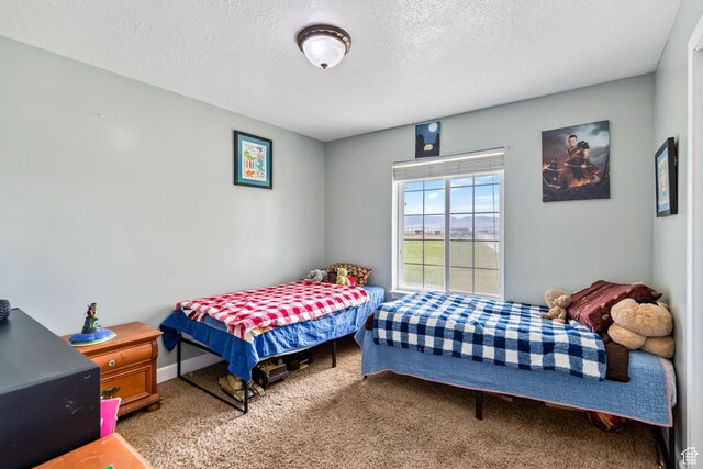 1542 N 1400 W, Preston, ID 83263 - photo 16