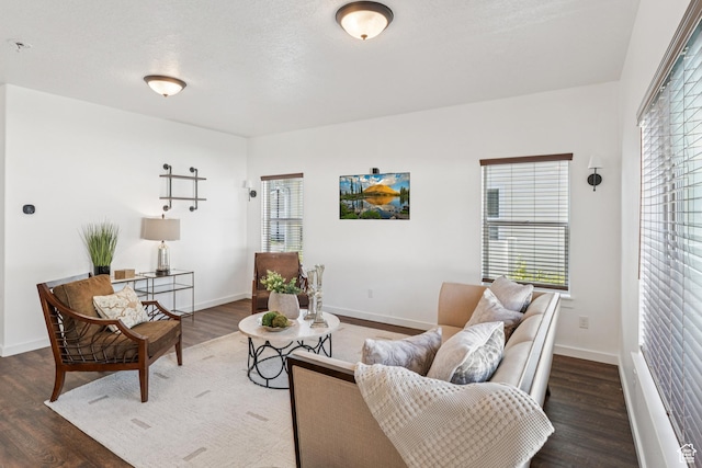 13316 S Moseley Way, Herriman, UT 84096 - living room with plenty of natural light and wood finished floors