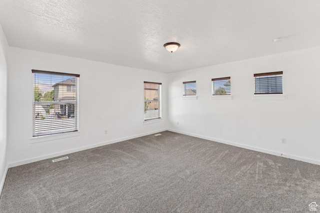 13316 S Moseley Way, Herriman, UT 84096 - spare room featuring carpet and a textured ceiling