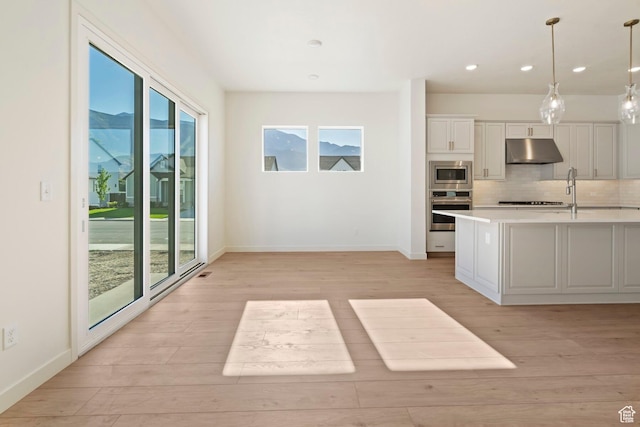1502 W 1010 N Unit 11, Pleasant Grove, UT 84062 - kitchen with stainless steel appliances, under cabinet range hood, light wood-style flooring, light countertops, and backsplash