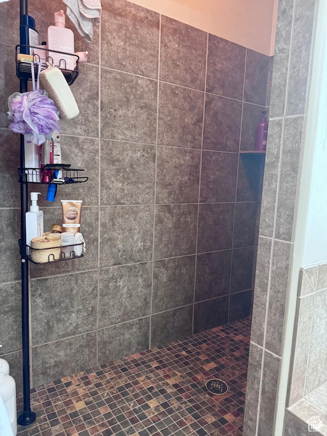 23 S 2200 W, Roosevelt, UT 84066 - bathroom featuring a tile shower