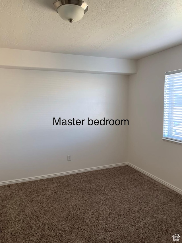115 W Ridge Rd N, Saratoga Springs, UT 84045 - photo 4