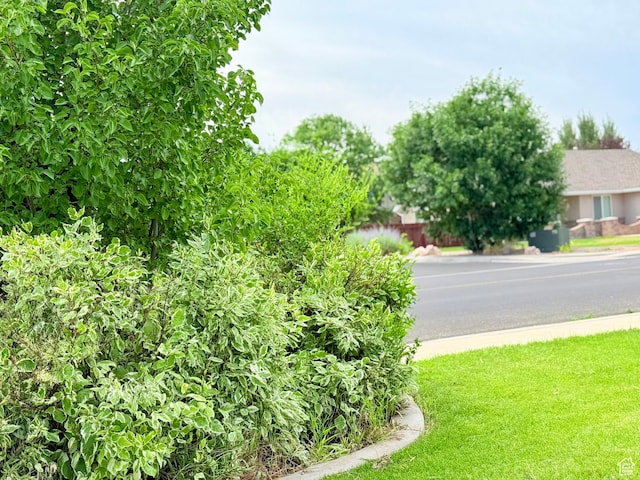 301 S 1350 W, Vernal, UT 84078 - view of yard