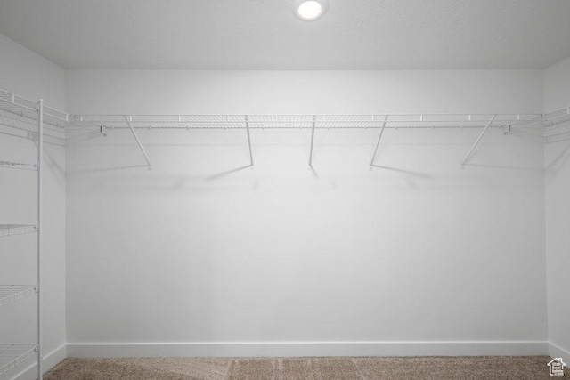 6031 W Highlandbrook Dr, West Jordan, UT 84081 - spacious closet featuring carpet floors