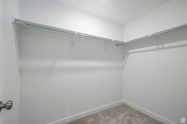 1857 E Bison Dr Unit B217, Eagle Mountain, UT 84005 - spacious closet featuring carpet floors
