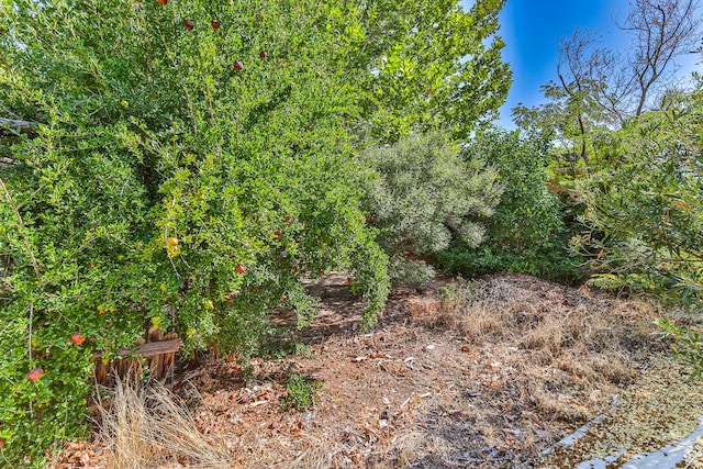 709 N 2200 E, St George, UT 84790 - view of local wilderness