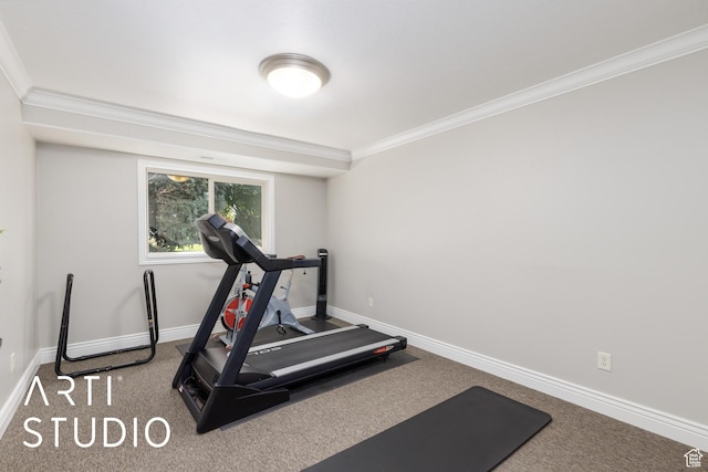 2124 N Heritage Dr, Farr West, UT 84404 - workout room featuring crown molding and carpet floors