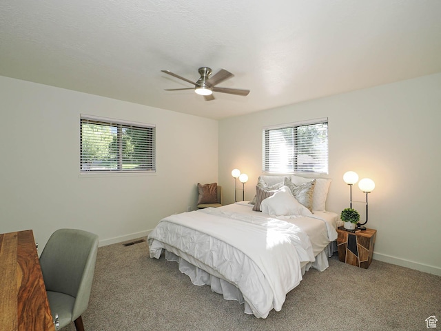 750 W 3850 N, Pleasant View, UT 84414 - photo 19
