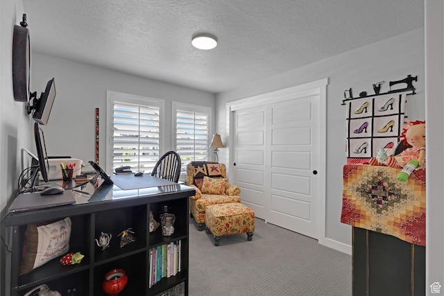 1792 W Norway Spruce Dr, Layton, UT 84041 - office featuring carpet floors and a textured ceiling
