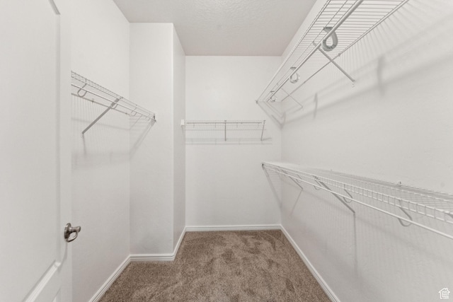 1535 W 80 S, Pleasant Grove, UT 84062 - walk in closet featuring carpet