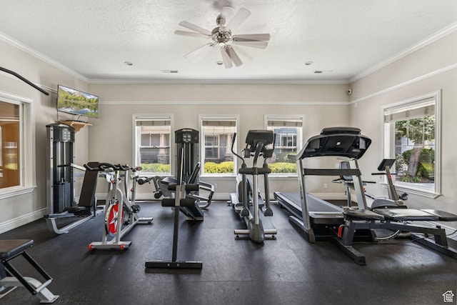 1535 W 80 S, Pleasant Grove, UT 84062 - gym with a textured ceiling, a ceiling fan, and ornamental molding