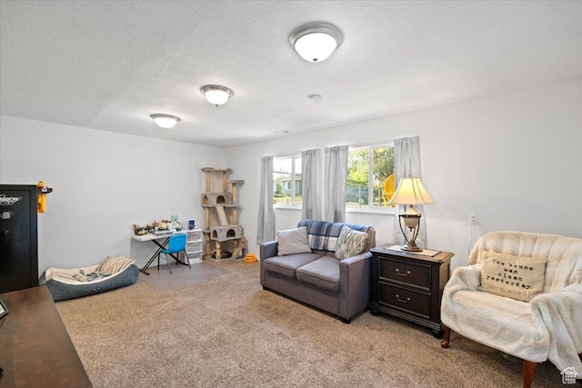 7351 W Zana Ln, Magna, UT 84044 - carpeted living room with a textured ceiling