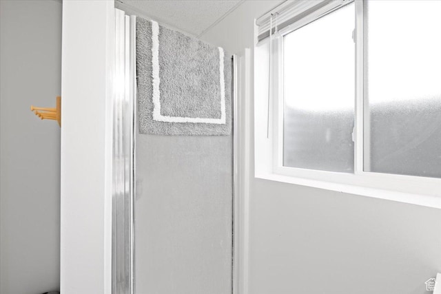 7351 W Zana Ln, Magna, UT 84044 - detailed view of a shower stall
