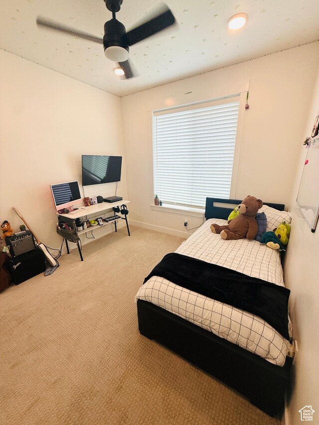 653 S 340 E, Smithfield, UT 84335 - photo 21