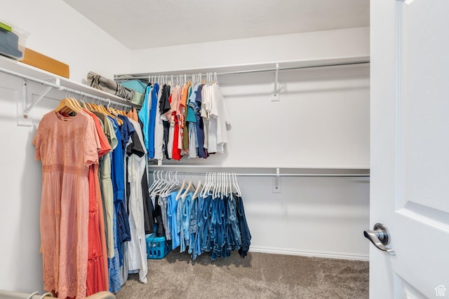 1696 N 2640 W, Lehi, UT 84043 - walk in closet with carpet floors