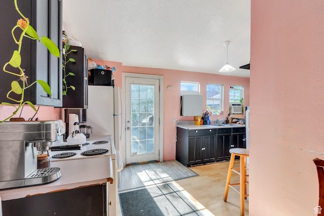 442 N 100 E, Provo, UT 84606 - kitchen with healthy amount of natural light, light wood finished floors, light countertops, and dark cabinetry