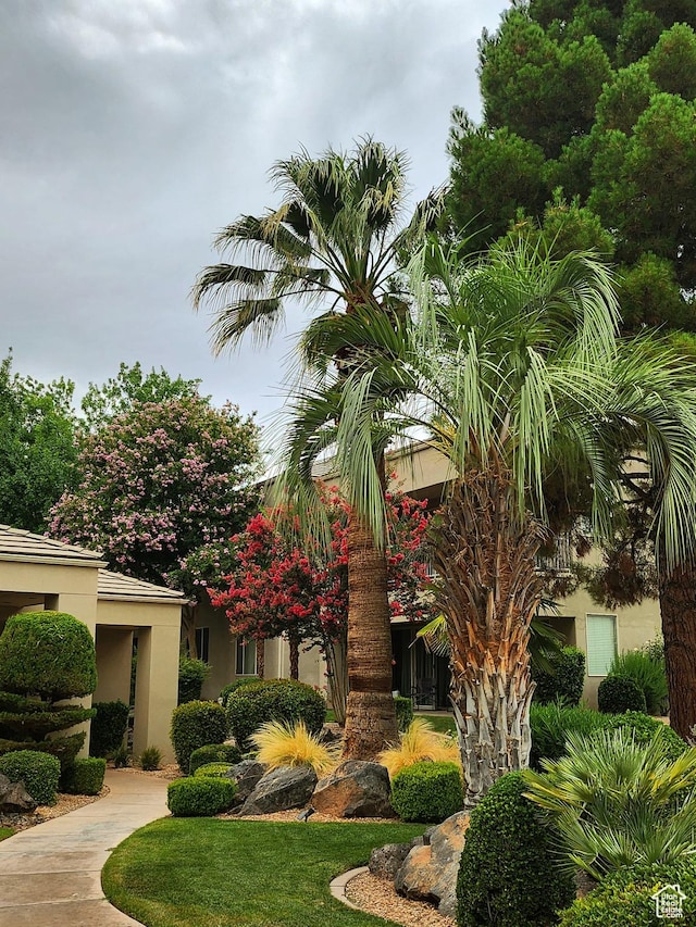 225 N Country Ln Unit 5, St George, UT 84770 - view of yard