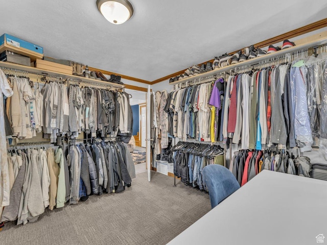 4273 W Annapolis Dr S, West Valley City, UT 84120 - walk in closet featuring carpet flooring