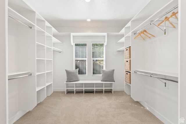1155 S Eagle Nest Dr, Woodland Hills, UT 84653 - walk in closet featuring carpet