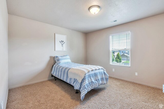 7633 N Jimmy Ln, Eagle Mountain, UT 84005 - photo 14