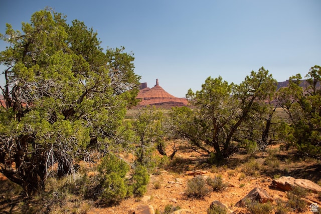 343 Taylor Ln Unit 343, Castle Valley, UT 84532