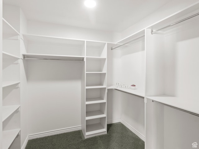 643 E 140 N, American Fork, UT 84003 - walk in closet with carpet flooring