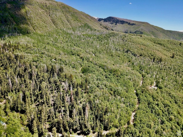Unit O45, Fairview, UT 84629