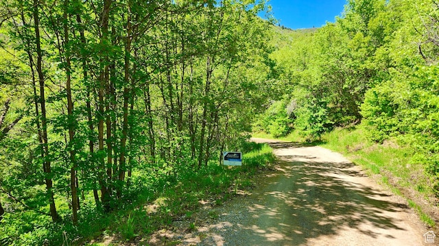 Unit O45, Fairview, UT 84629