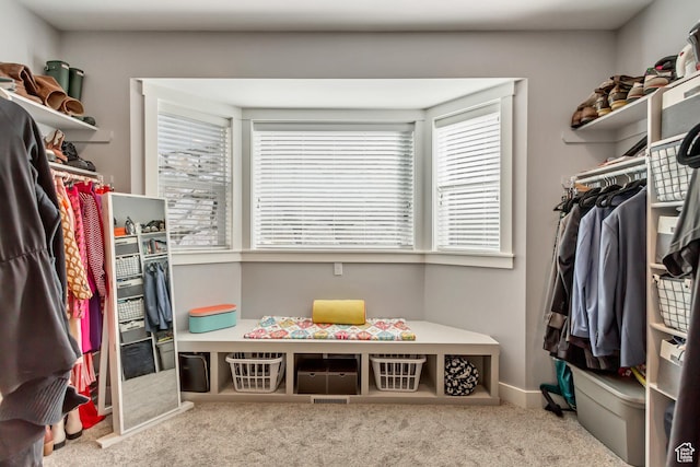 467 E Island View Cir N, Farmington, UT 84025 - spacious closet with carpet flooring