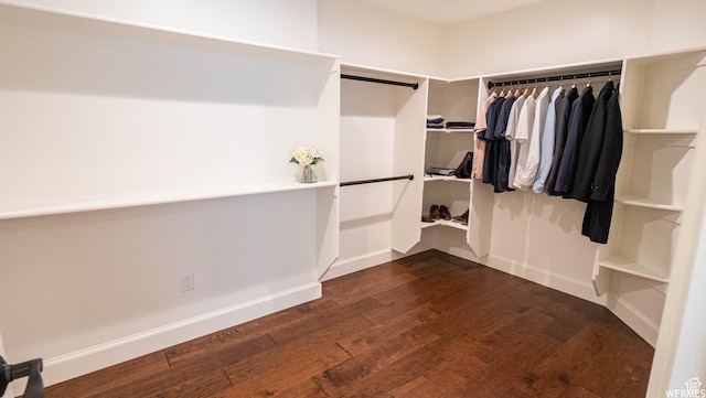 2295 E Woodchuck Way, Sandy, UT 84093 - spacious closet with dark wood-style flooring