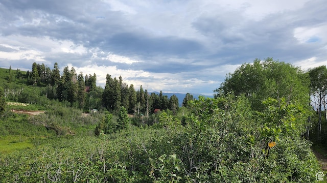 N 11750 E J24, Fairview, UT 84629