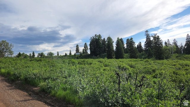 N 11750 E J24, Fairview, UT 84629