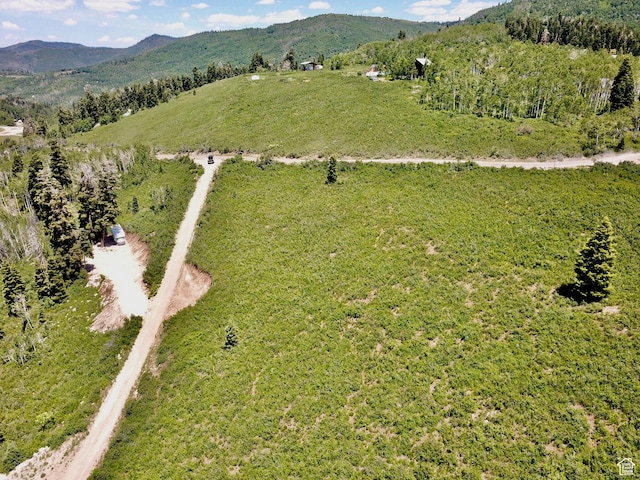 N 11750 E J24, Fairview, UT 84629