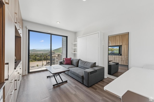 2670 Canyons Resort Dr Unit 417, Park City, UT 84098 - living room featuring wood finished floors and recessed lighting