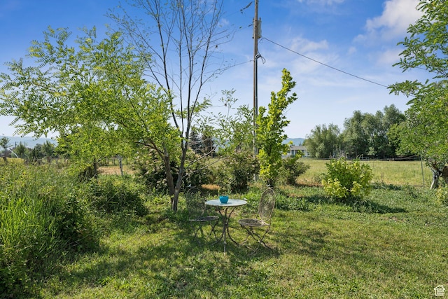 48 E 400 N, Midway, UT 84049 - photo 37