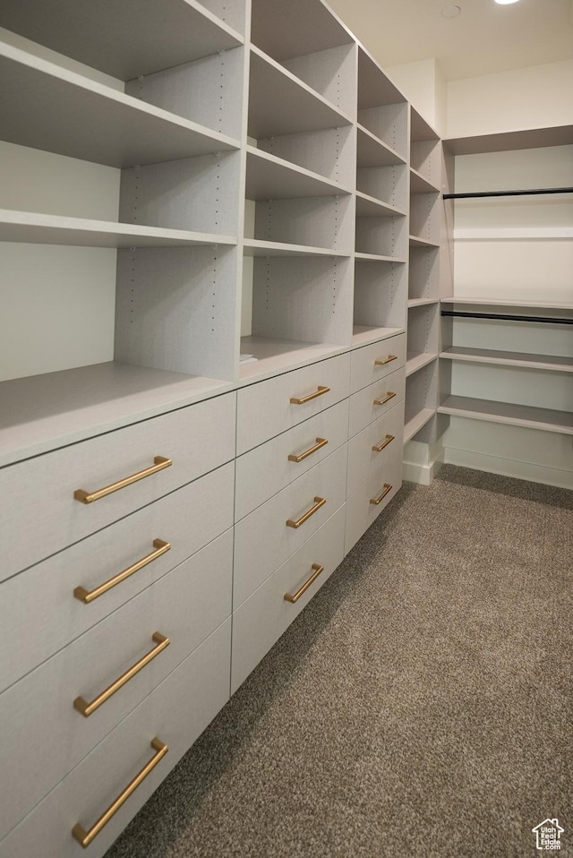 10135 E Clubhouse Rd, Heber City, UT 84032 - spacious closet featuring dark colored carpet