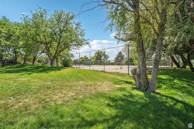 5249 S Gravenstein Park, Murray, UT 84123 - view of yard