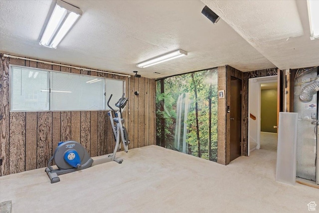 457 E 1750 N, North Ogden, UT 84414 - workout room featuring a textured ceiling, healthy amount of natural light, wooden walls, and carpet flooring