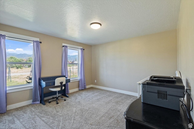 775 N 500 E, Spring City, UT 84662 - office area featuring a textured ceiling and carpet floors