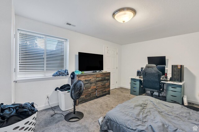 969 E 550 N, Spanish Fork, UT 84660 - photo 19