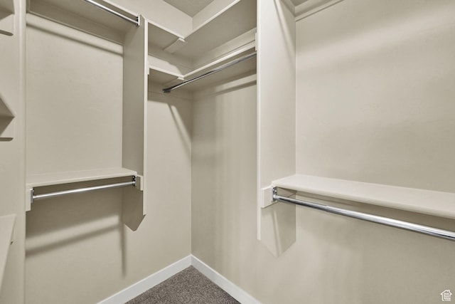 1028 W 950 N, Layton, UT 84041 - walk in closet with carpet floors