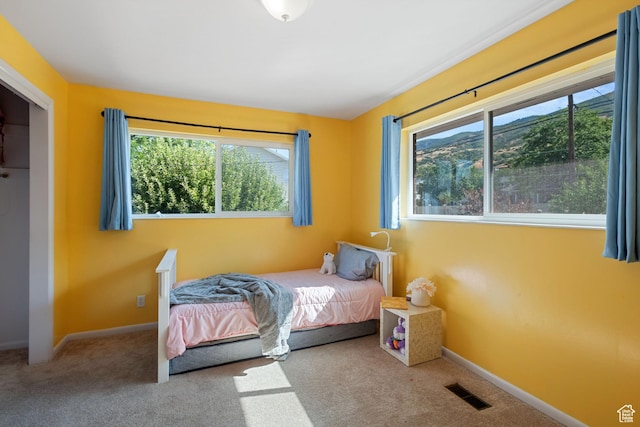 1851 N Main St, Centerville, UT 84014 - bedroom with carpet and baseboards
